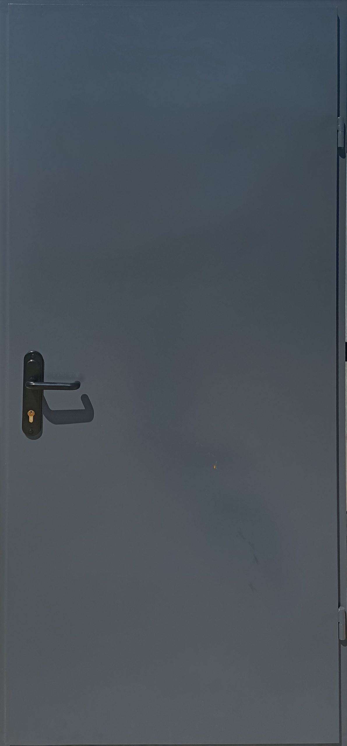 Противопожарная дверь 2300×600 / серия FRM55382